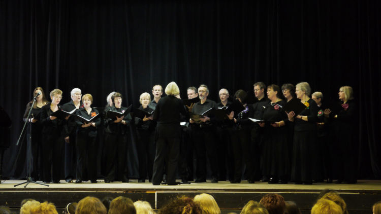 Performing in Farnham